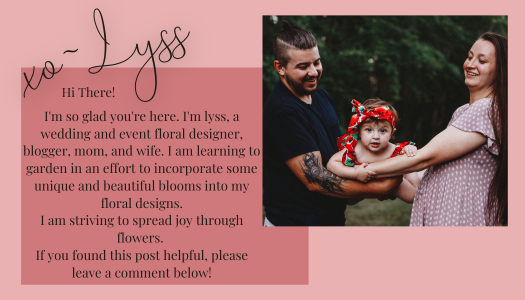 Hi There! I'm so glad you're here. I'm lyss, a gardener, wedding and event floral designer, blogger, mom, and wife. I am striving to spread joy through flowers. If you found this post helpful, please leave a c (1).png